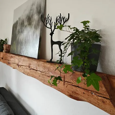 Schwarzwaldraum Schlossblick Апартаменты