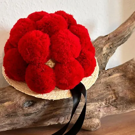 Апартаменты Schwarzwaldraum Schlossblick *