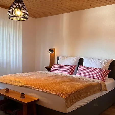 Apartment Schwarzwaldraum Schlossblick