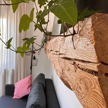 Apartment Schwarzwaldraum Schlossblick