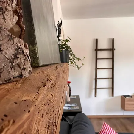 Schwarzwaldraum Schlossblick شقة