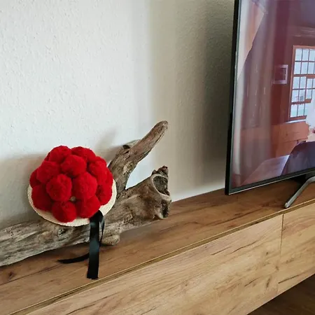 Schwarzwaldraum Schlossblick Daire