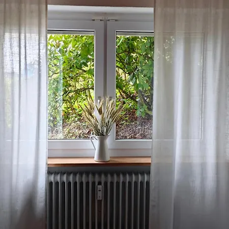 Schwarzwaldraum Schlossblick