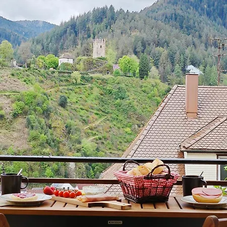 Schwarzwaldraum Schlossblick