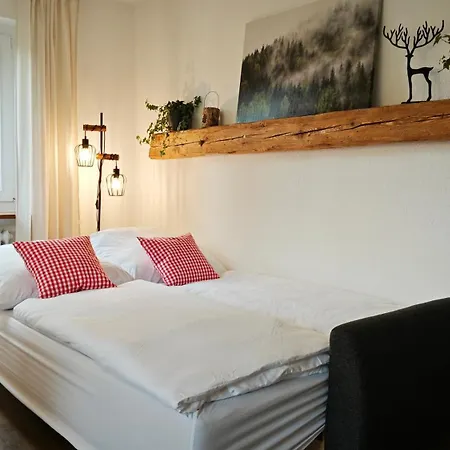 Schwarzwaldraum Schlossblick * Хорнберг