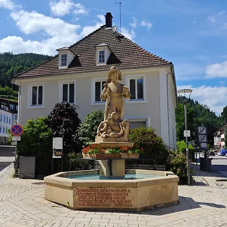 Apartment Schwarzwaldraum Schlossblick