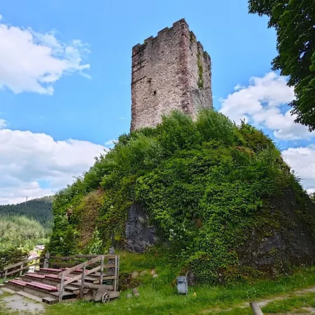Schwarzwaldraum Schlossblick شقة هورنبرغ
