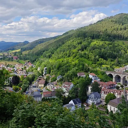 Schwarzwaldraum Schlossblick * Hornberg