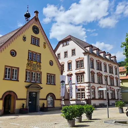 Schwarzwaldraum Schlossblick *