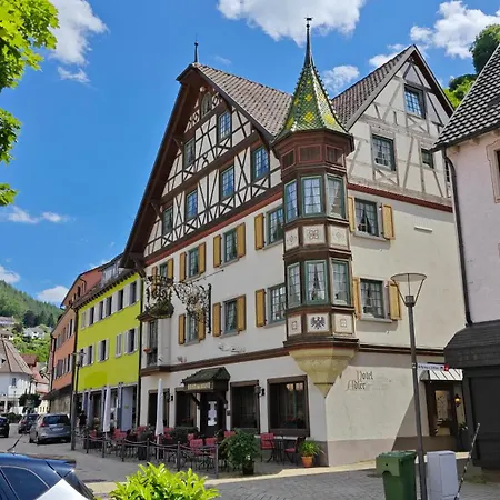 Apartment Schwarzwaldraum Schlossblick *